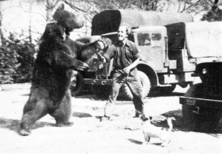 Illustration for article titled The Incredible Story of Wojtek, the Soldier Bear